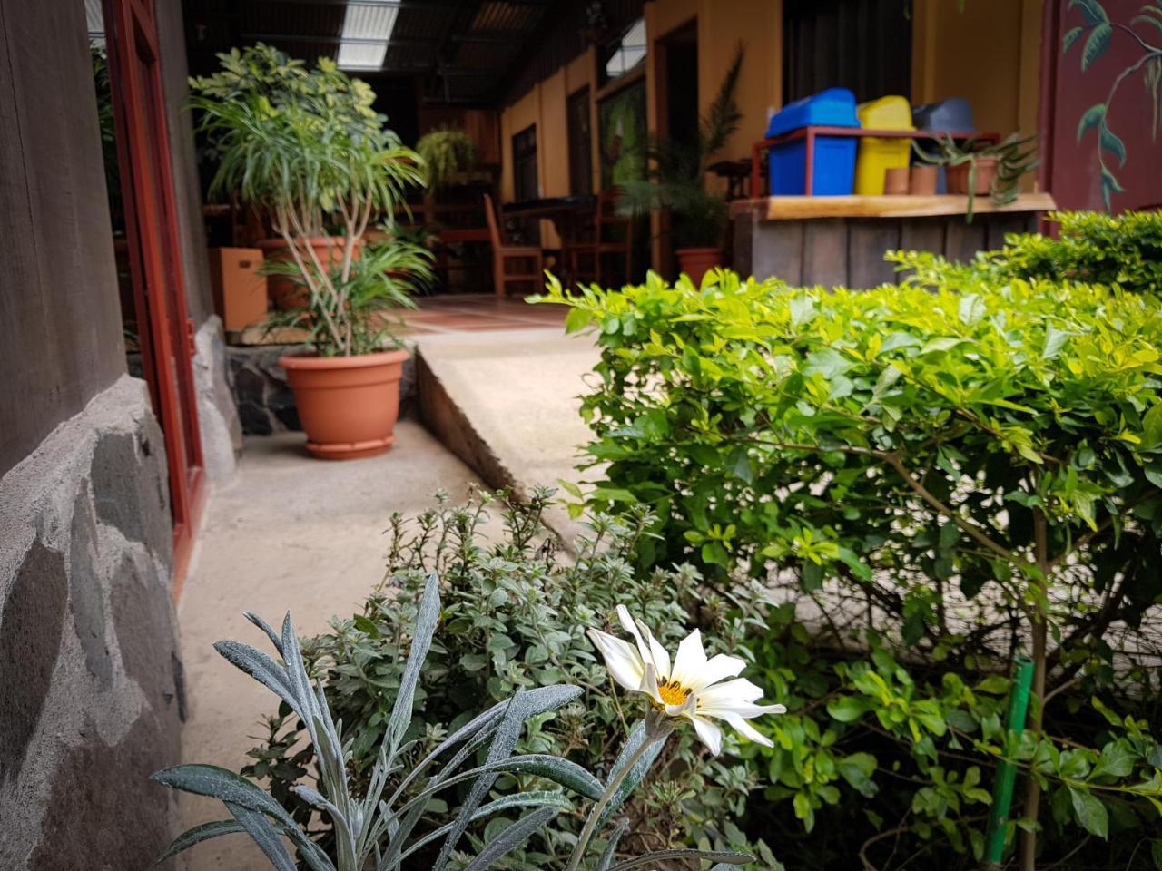 Greemount Hotel Monteverde Екстериор снимка