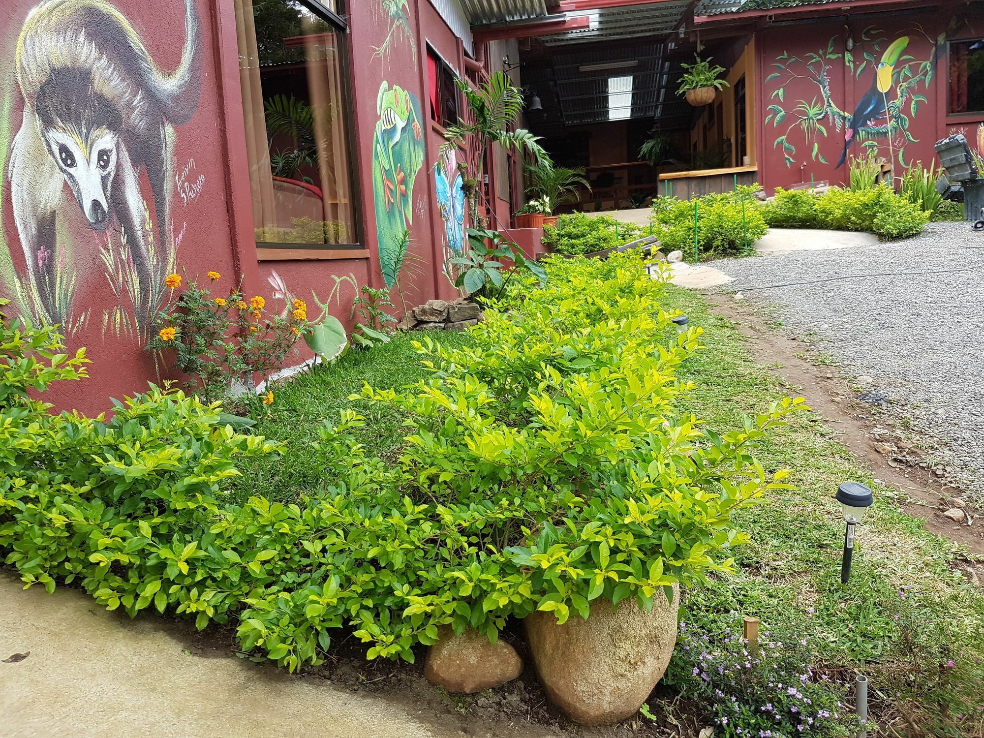 Greemount Hotel Monteverde Екстериор снимка